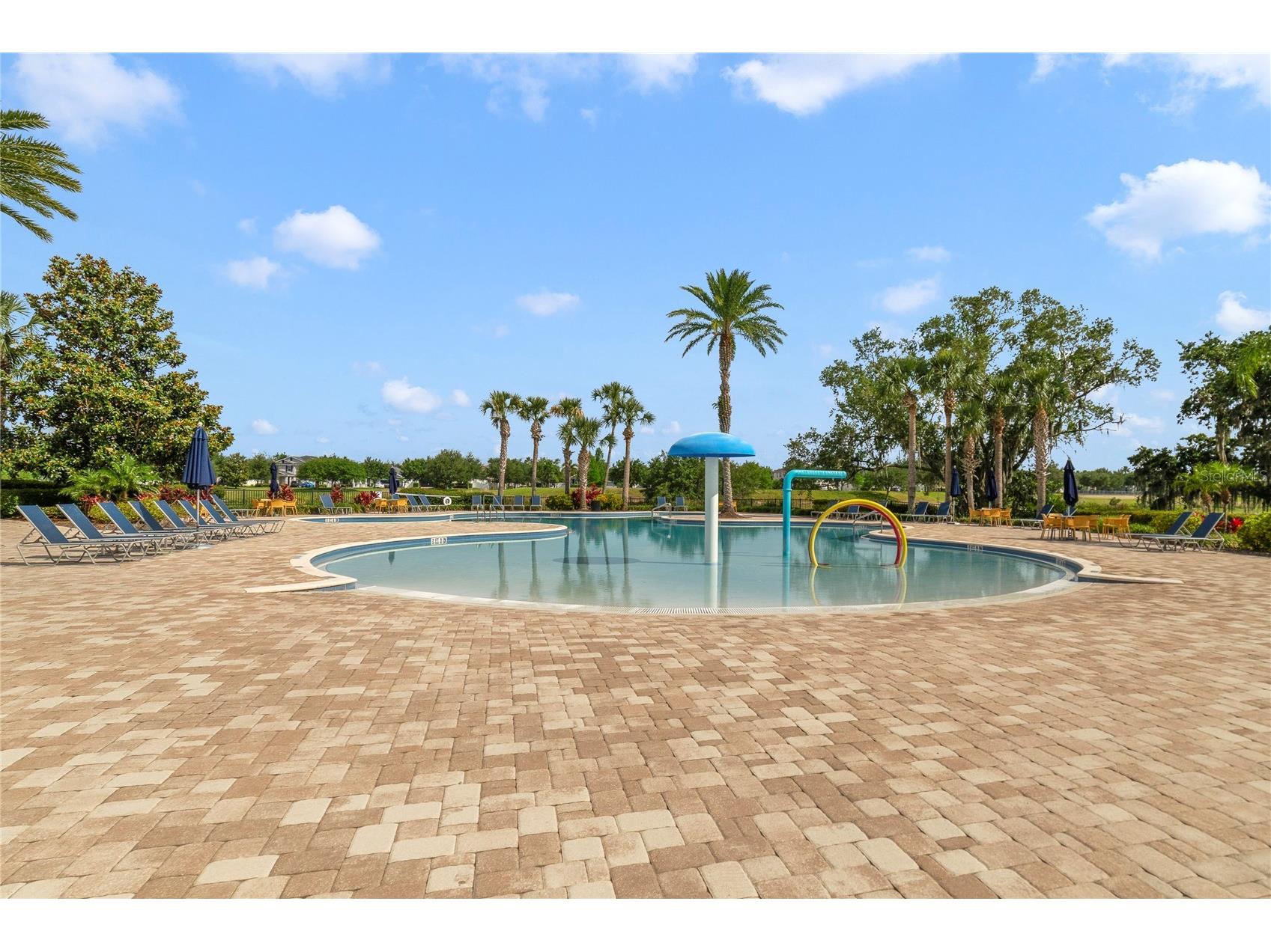 15113 White Wagtail Lane Winter Garden FL 34787 O6388369 image40