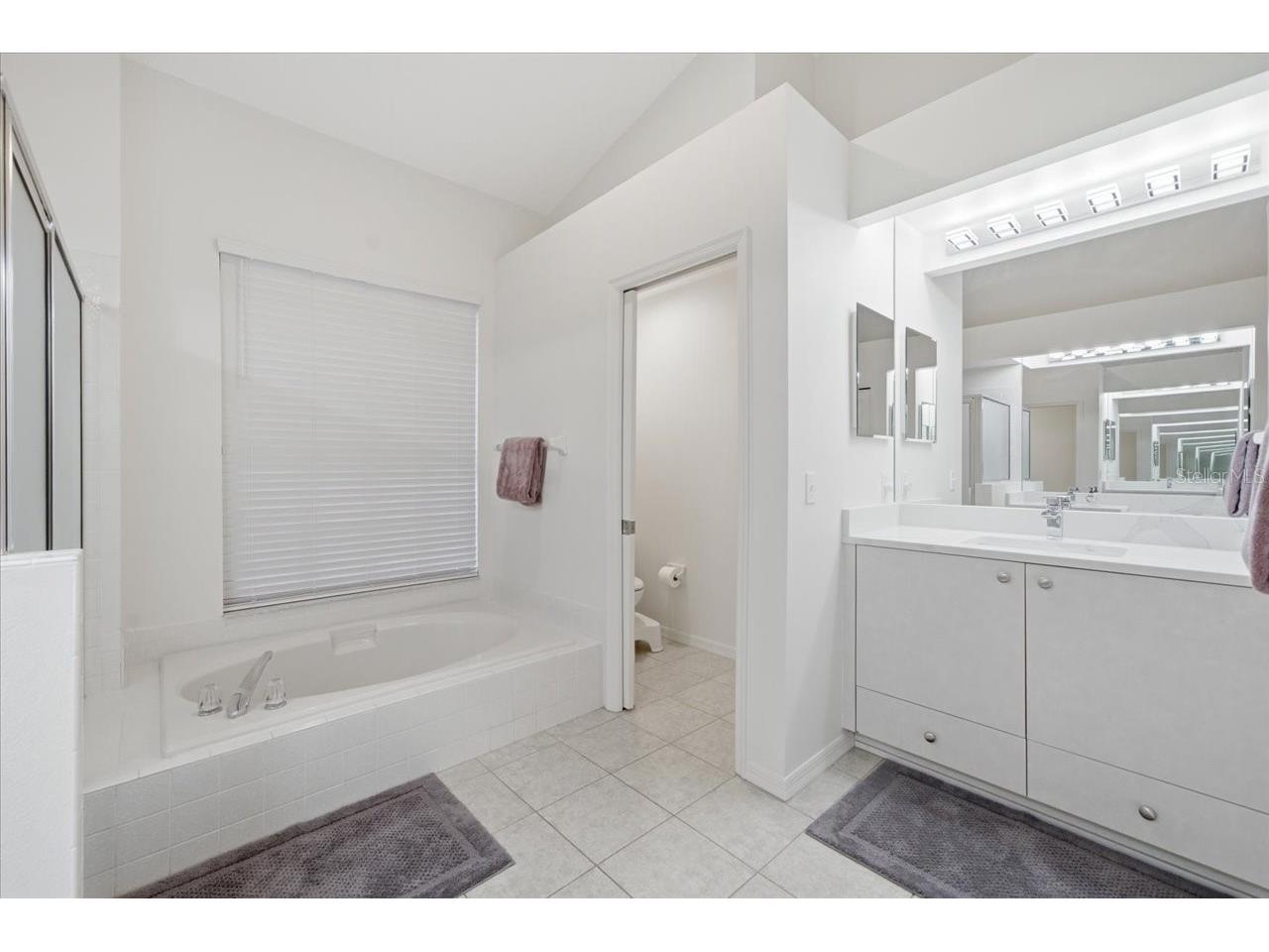 15114 Laurel Cove Circle Odessa FL 33556 TB8526378 image31