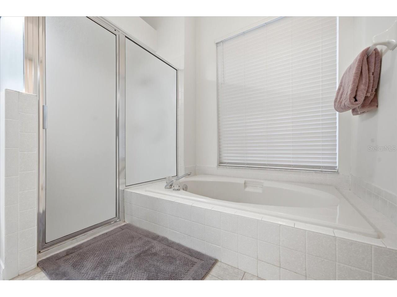 15114 Laurel Cove Circle Odessa FL 33556 TB8526378 image32