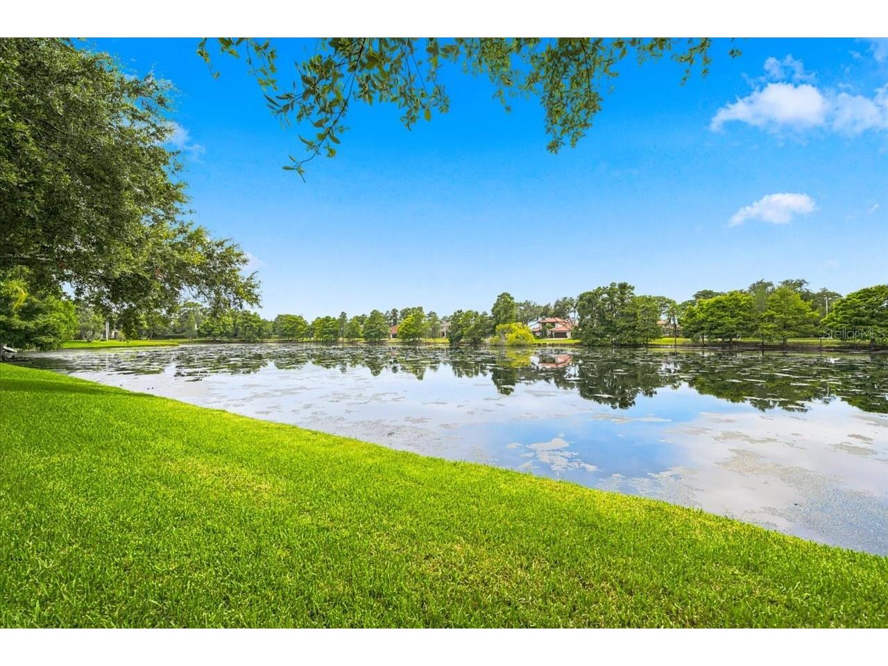 15114 Laurel Cove Circle Odessa FL 33556 TB8526378 image4