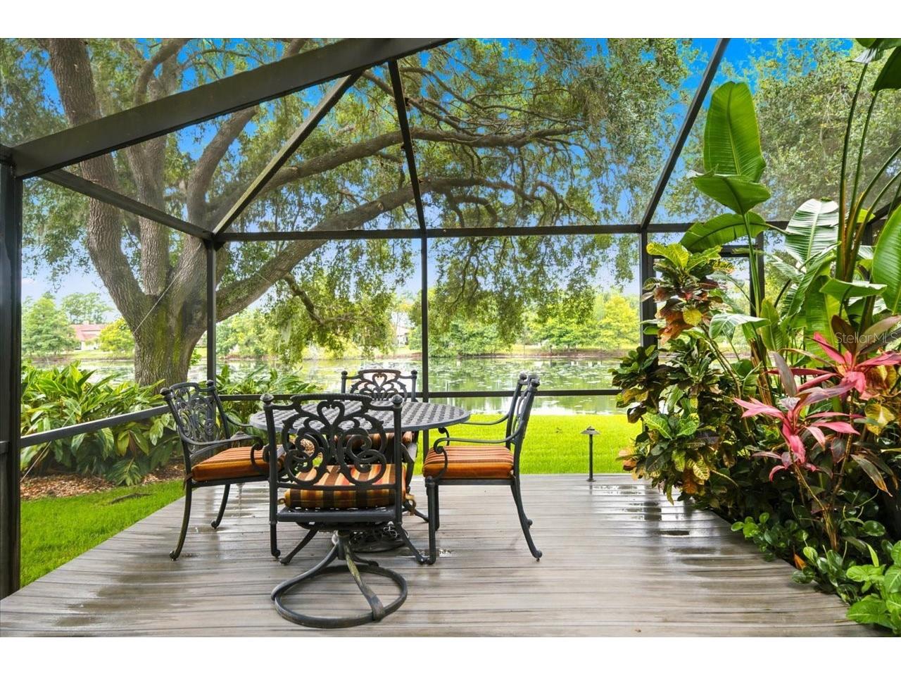 15114 Laurel Cove Circle Odessa FL 33556 TB8526378 image47