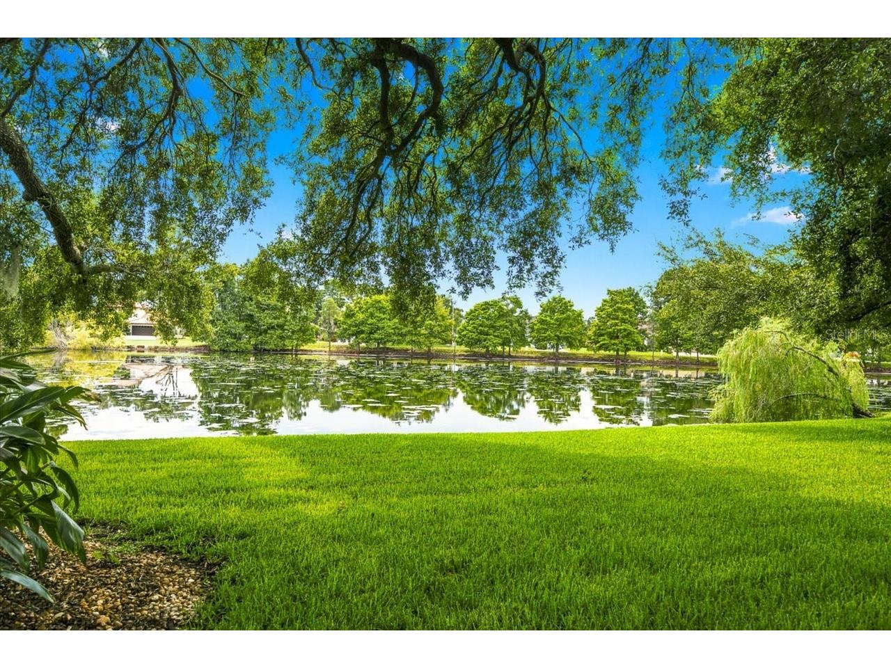 15114 Laurel Cove Circle Odessa FL 33556 TB8526378 image5