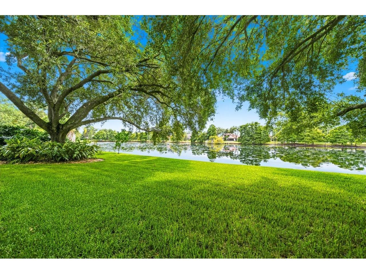 15114 Laurel Cove Circle Odessa FL 33556 TB8526378 image52