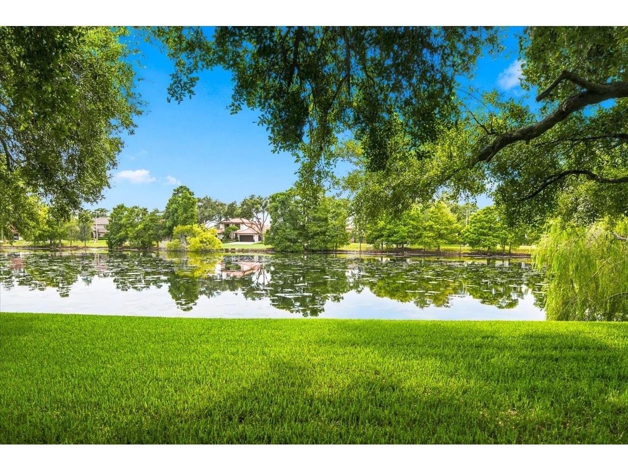 15114 Laurel Cove Circle Odessa FL 33556 TB8526378 image53