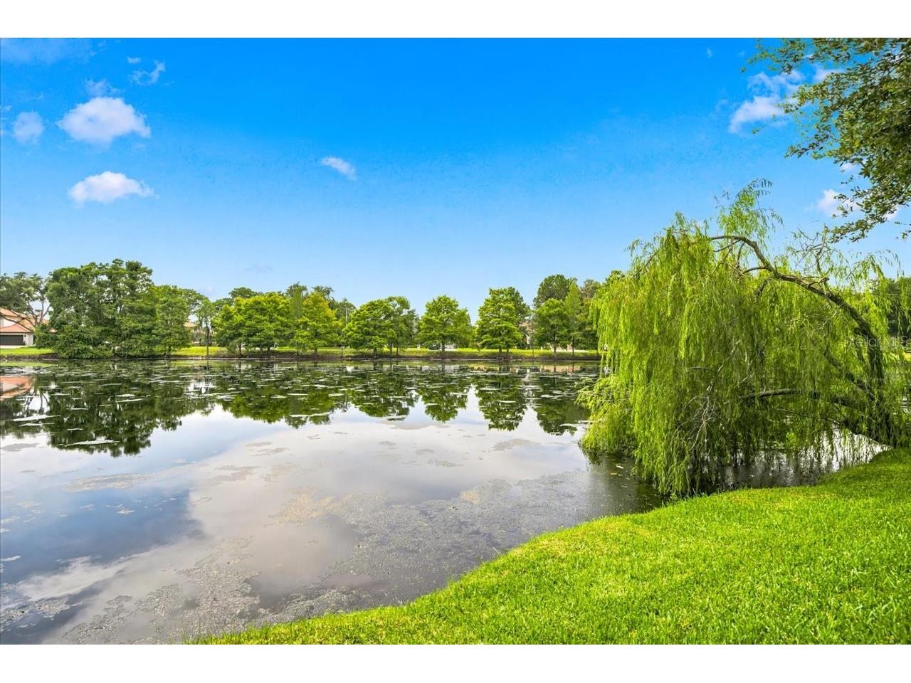 15114 Laurel Cove Circle Odessa FL 33556 TB8526378 image54
