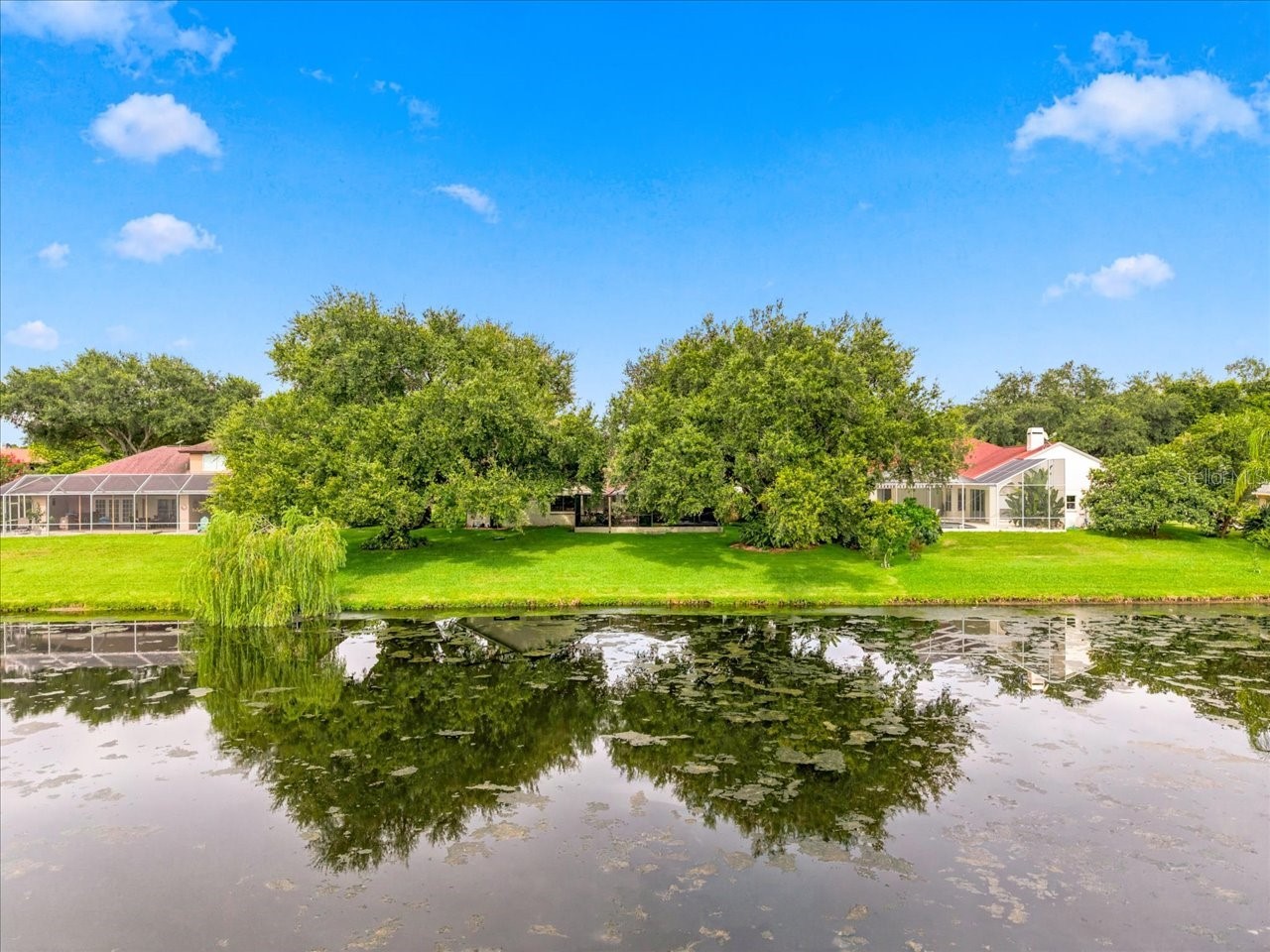 15114 Laurel Cove Circle Odessa FL 33556 TB8526378 image55