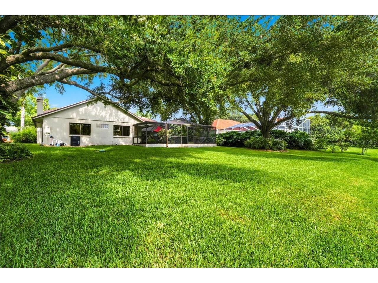15114 Laurel Cove Circle Odessa FL 33556 TB8526378 image56