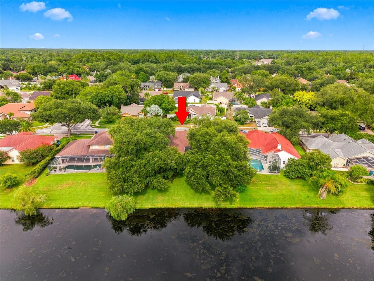 15114 Laurel Cove Circle Odessa FL 33556 TB8526378 image57
