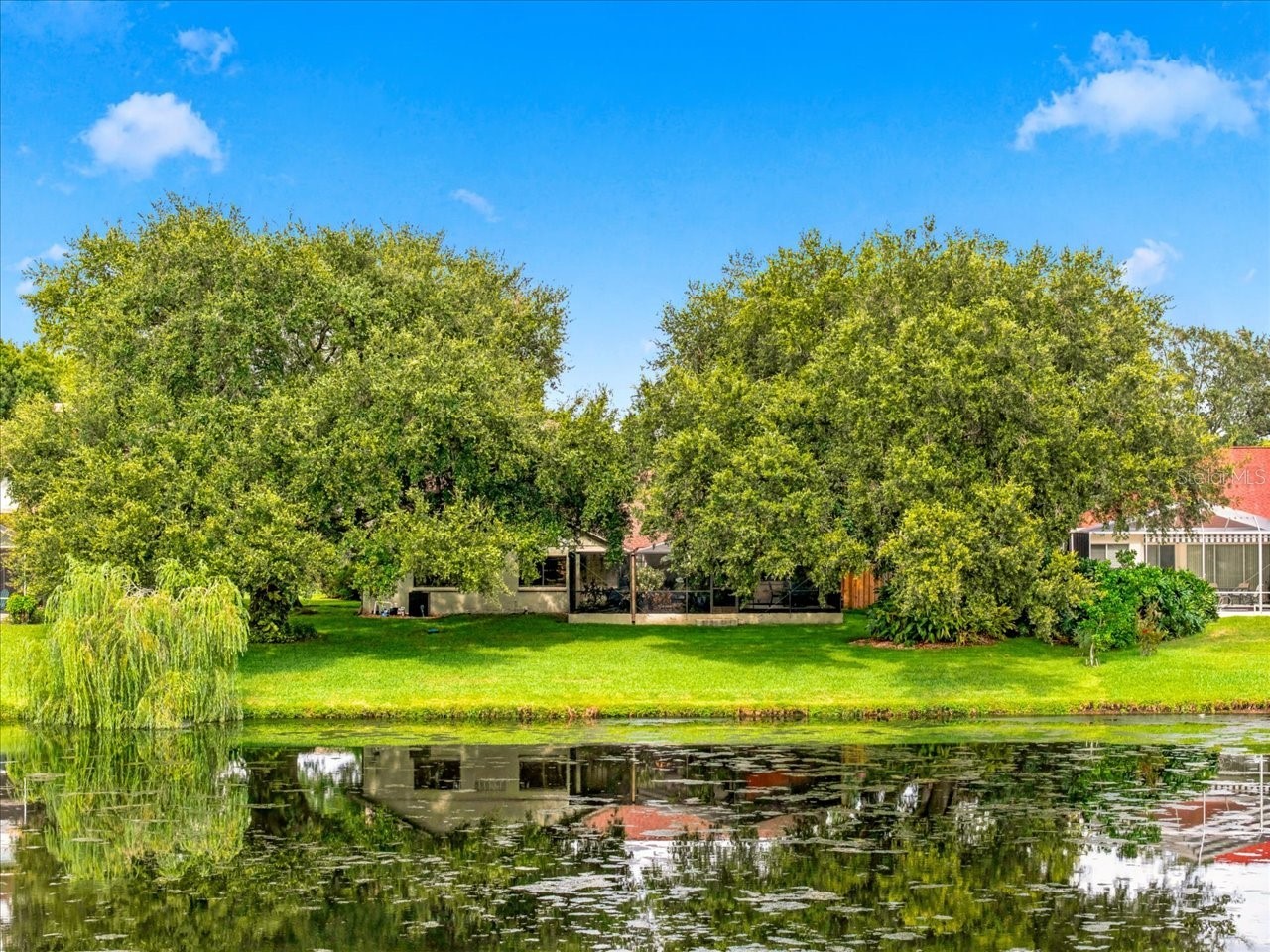 15114 Laurel Cove Circle Odessa FL 33556 TB8526378 image58