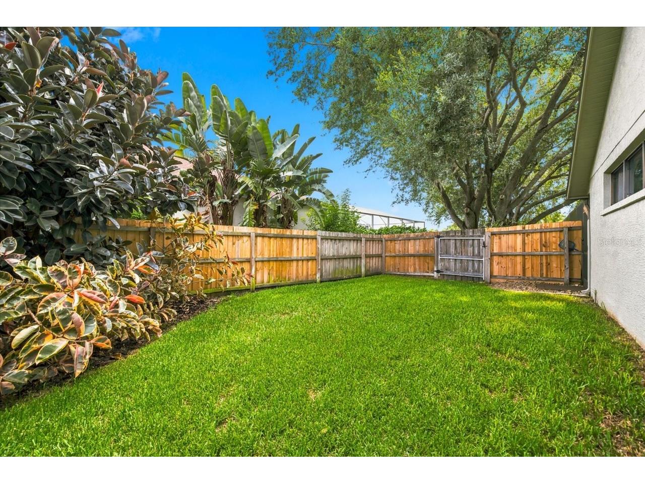 15114 Laurel Cove Circle Odessa FL 33556 TB8526378 image59
