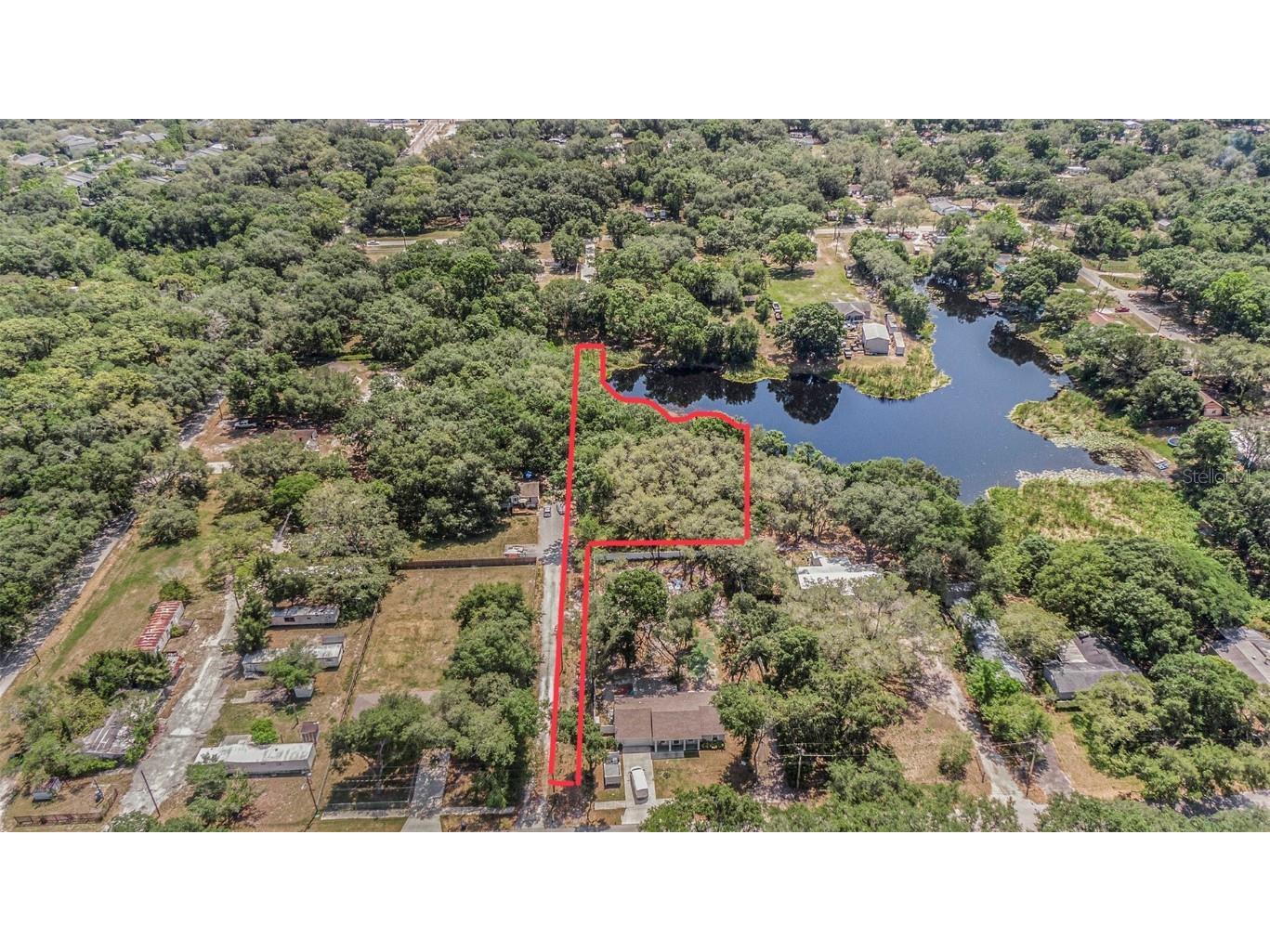 15115 N 20th Street Lutz FL 33549 T3449784 image1