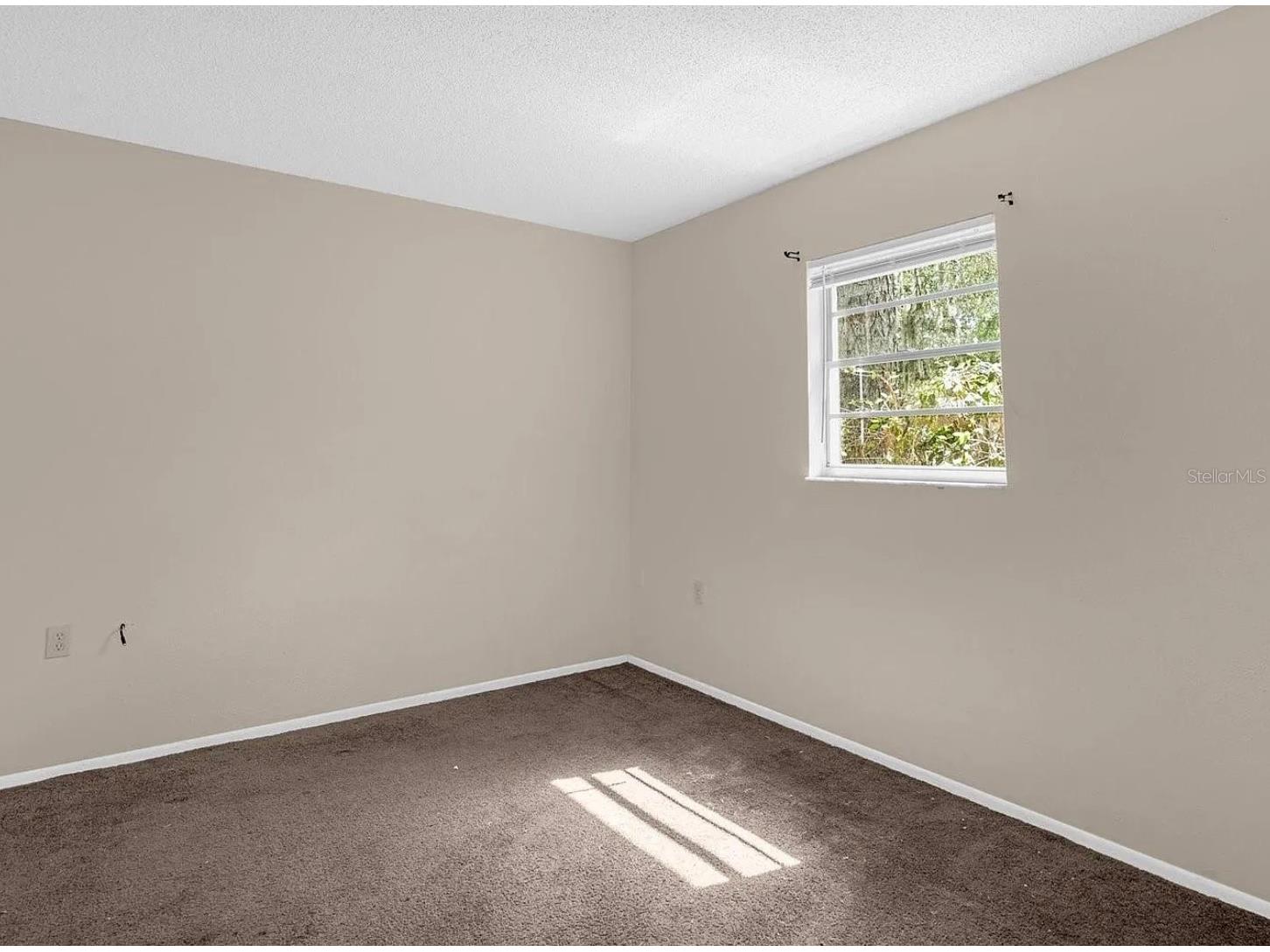 15115 Omaha Street Hudson FL 34667 O6403314 image12