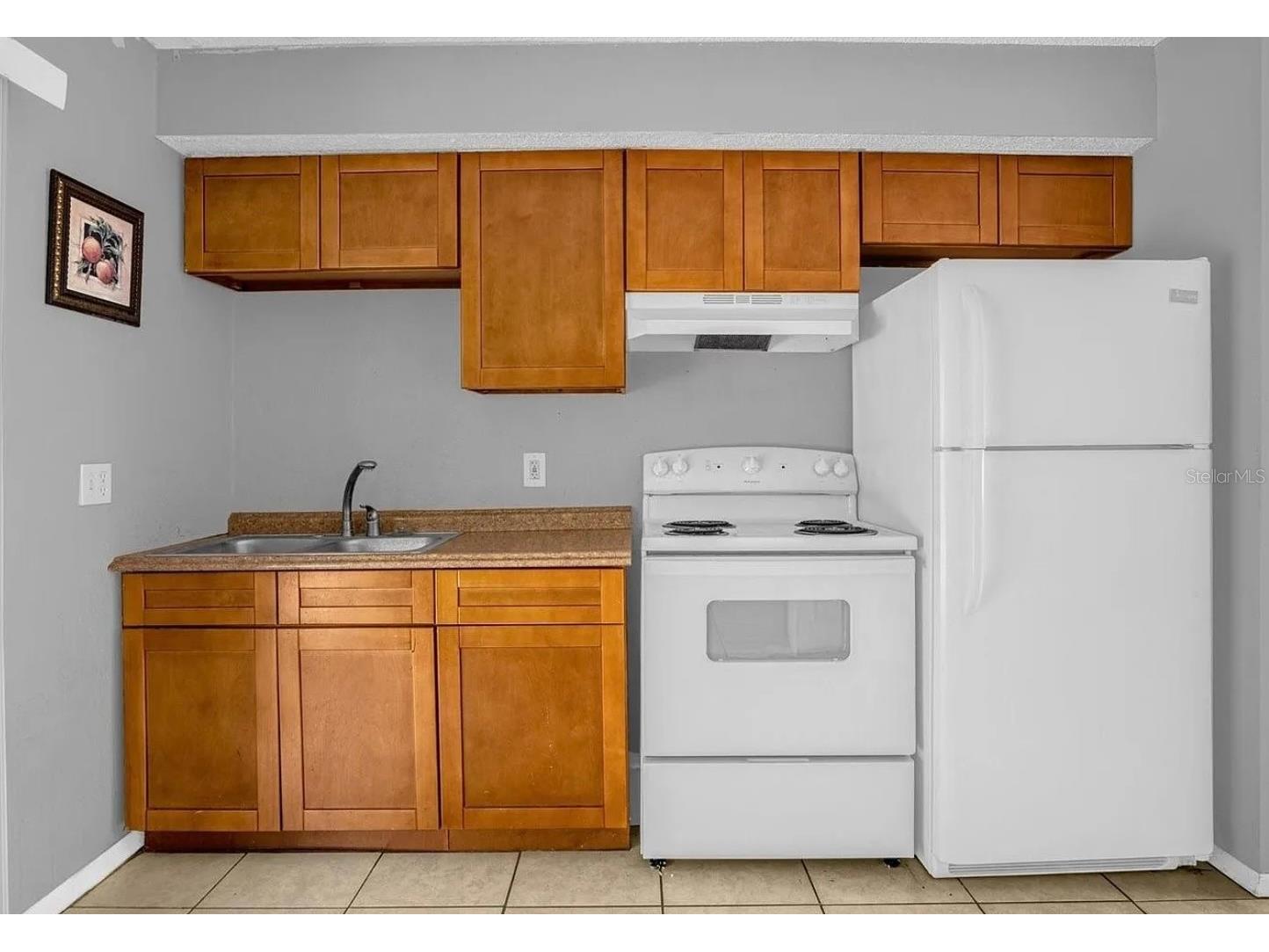 15115 Omaha Street Hudson FL 34667 O6403314 image3