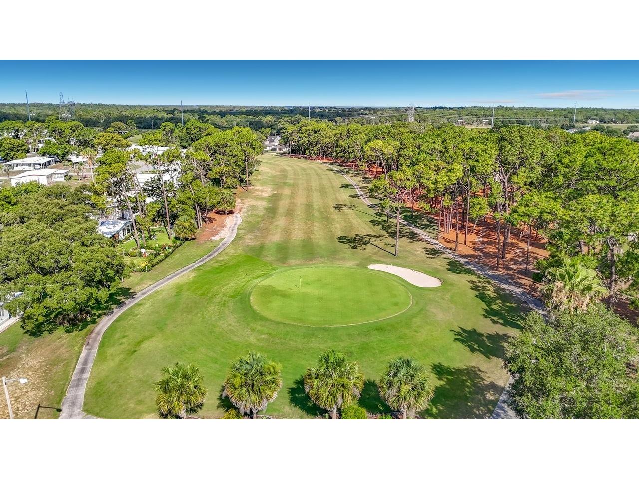 15116 Brookridge Boulevard Brooksville FL 34613 G5113811 image37