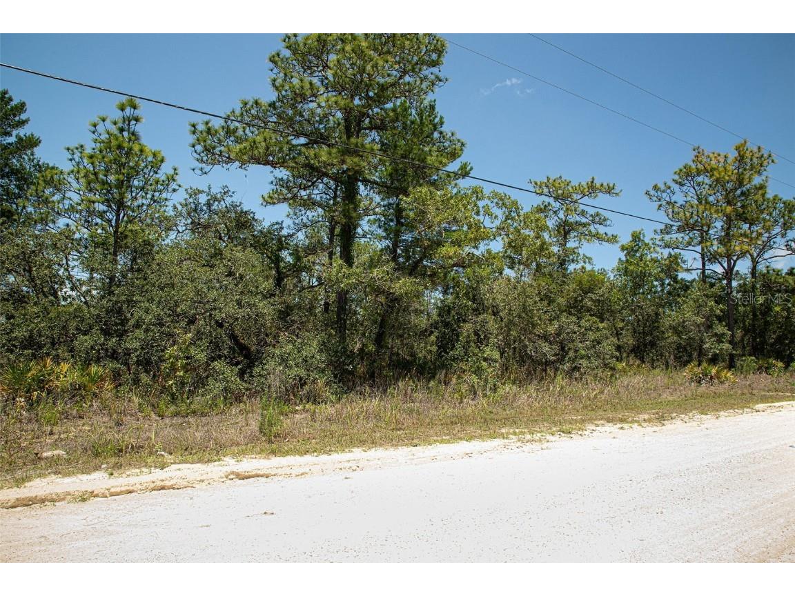 15117 Goldeneye Road Weeki Wachee FL 34614 O6203654 image1