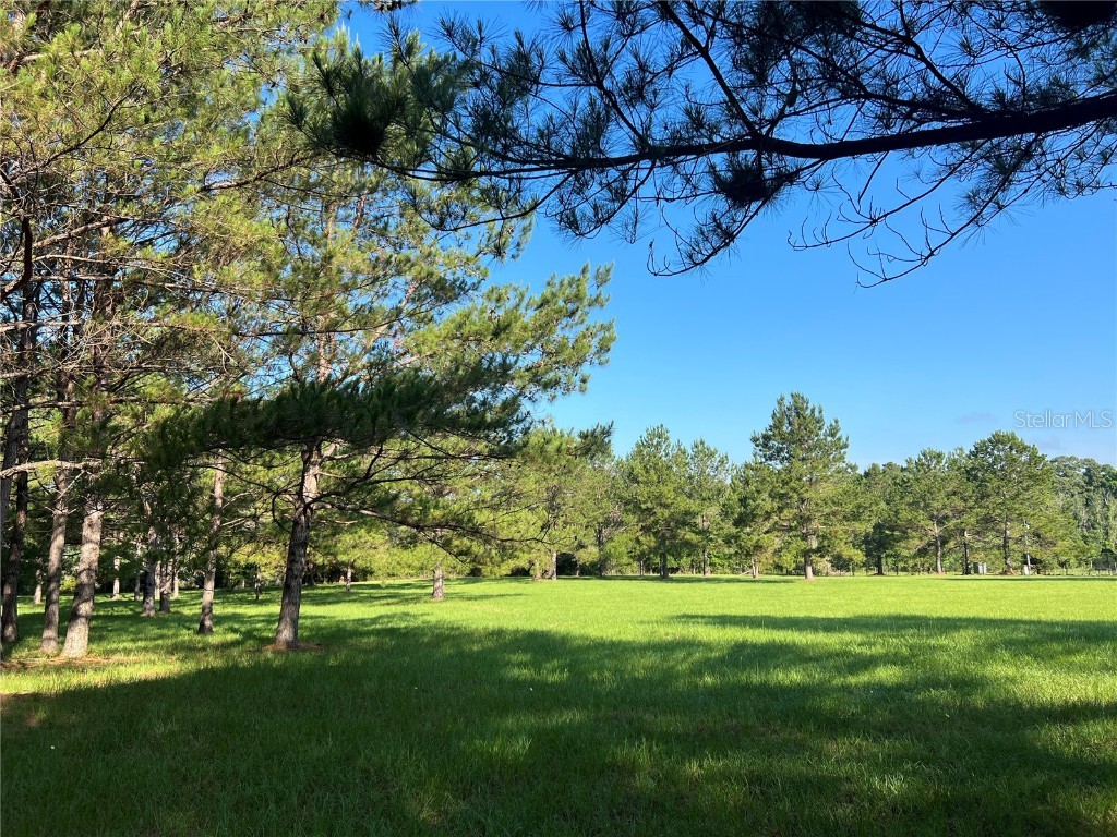 15118 NW 174th Avenue Alachua FL 32615 GC513538 image1