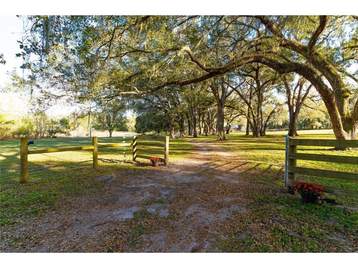 15118 Swift Road Dade City FL 33525 T3356427 image1