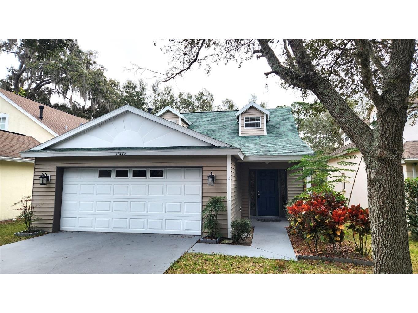 15119 Deer Meadow Drive Lutz FL 33559 T3500892 image1