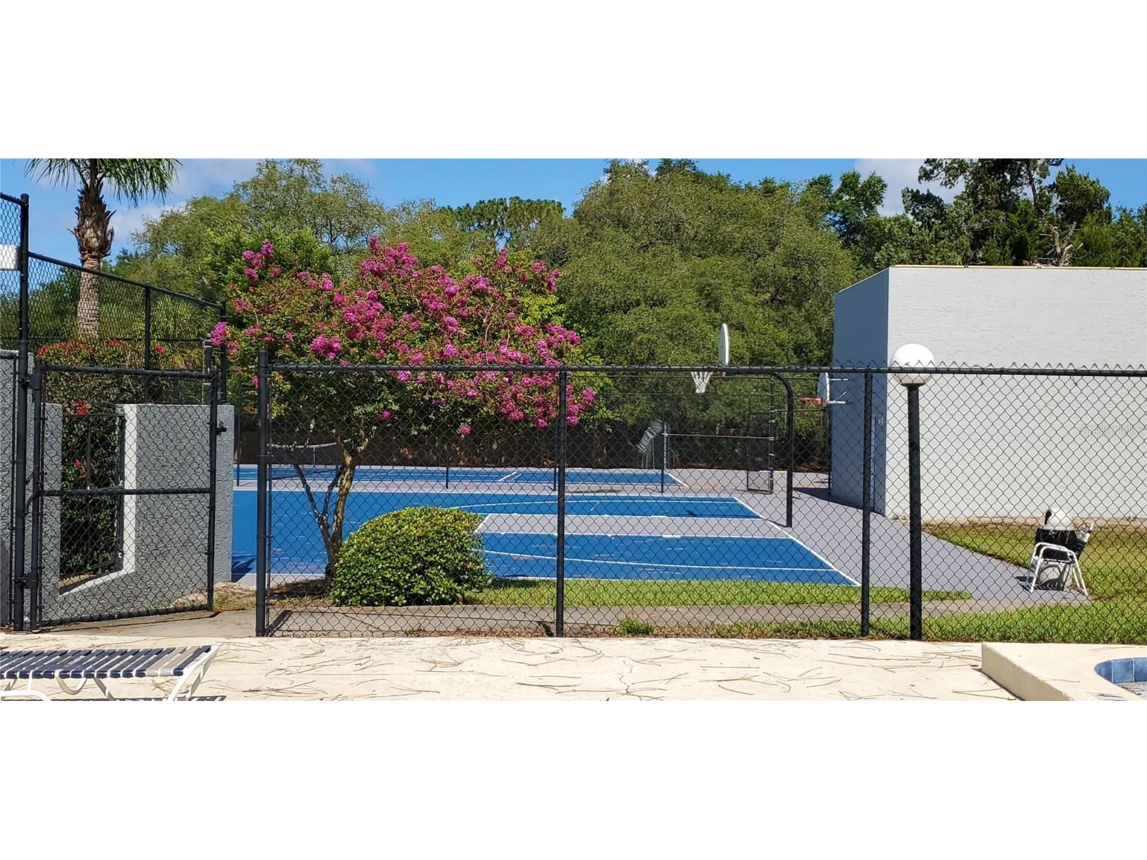 1512 Bay View Street Tarpon Springs FL 34689 TB8444642 image21