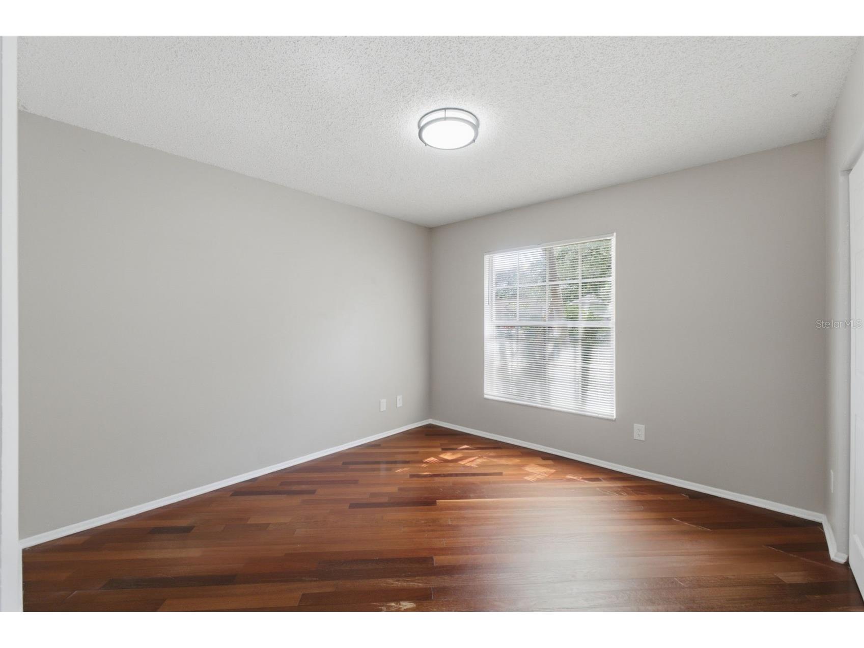 1512 Bay View Street Tarpon Springs FL 34689 W7886723 image11