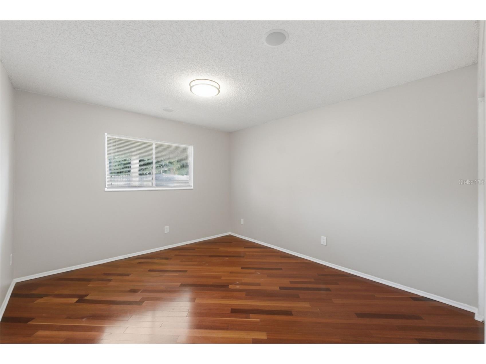 1512 Bay View Street Tarpon Springs FL 34689 W7886723 image15