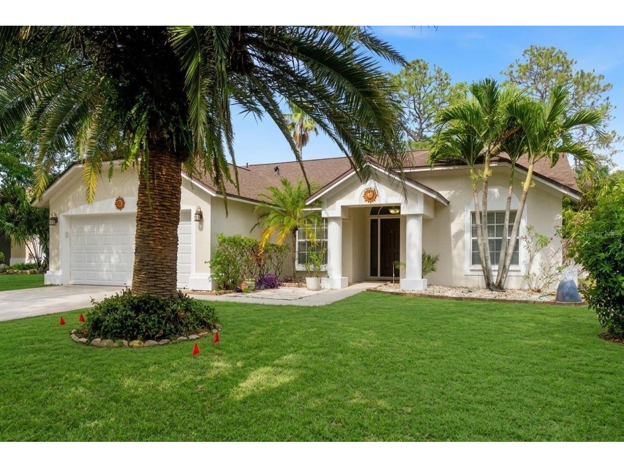 1512 Bay View Street Tarpon Springs FL 34689 W7886723 image40