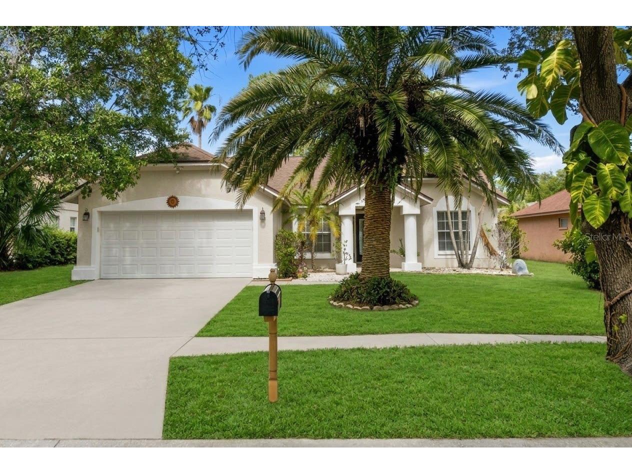 1512 Bay View Street Tarpon Springs FL 34689 W7886723 image41