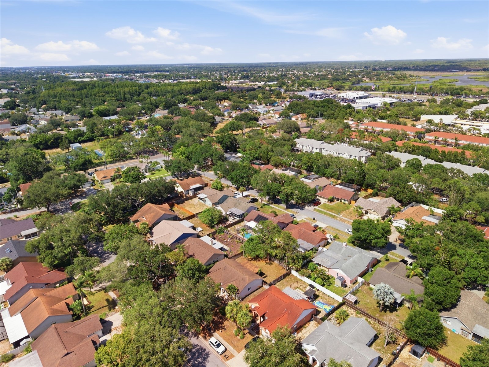1512 Bay View Street Tarpon Springs FL 34689 W7886723 image7