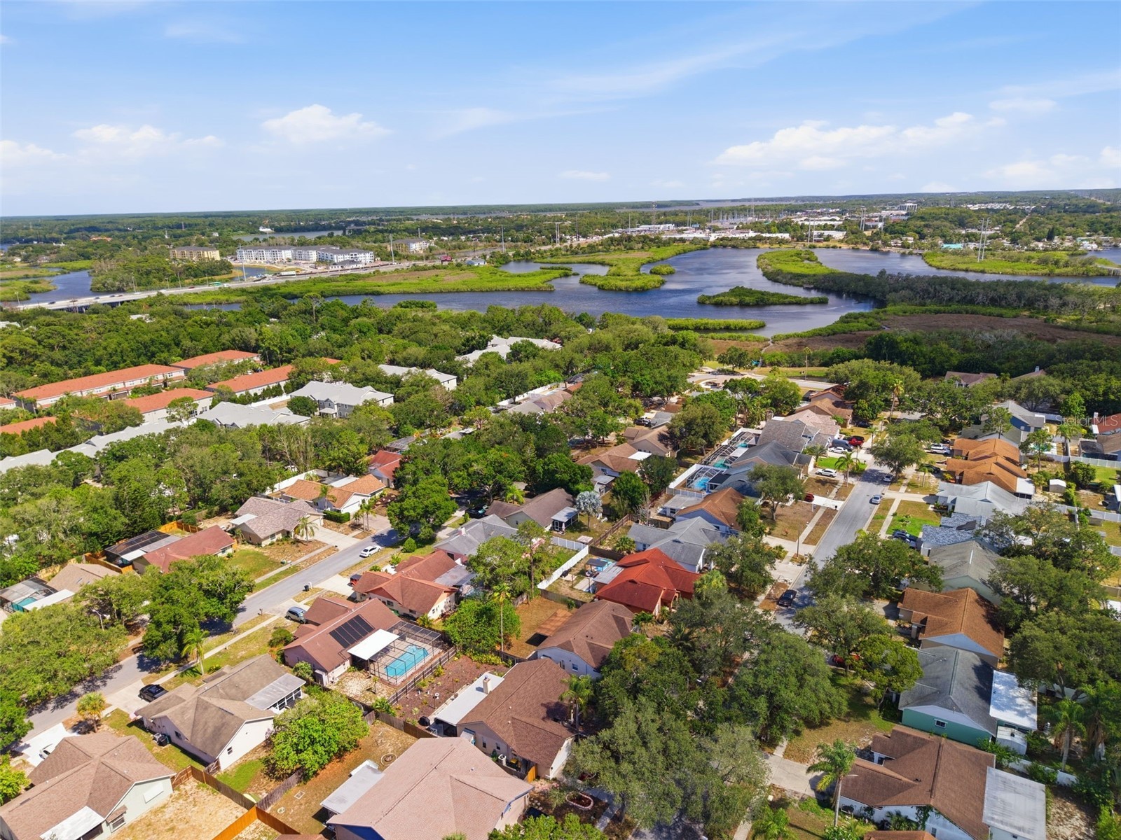 1512 Bay View Street Tarpon Springs FL 34689 W7886723 image8