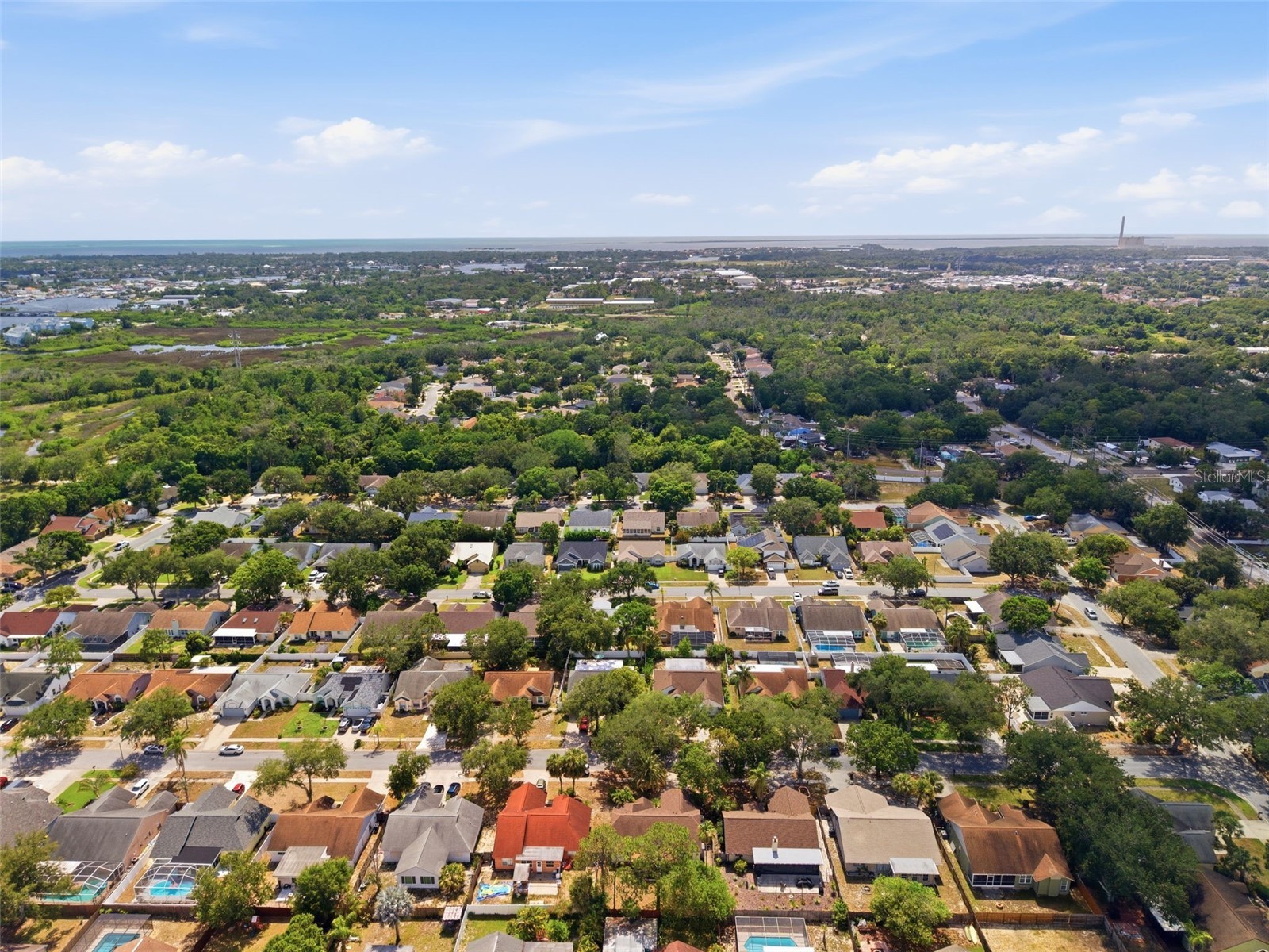 1512 Bay View Street Tarpon Springs FL 34689 W7886723 image9