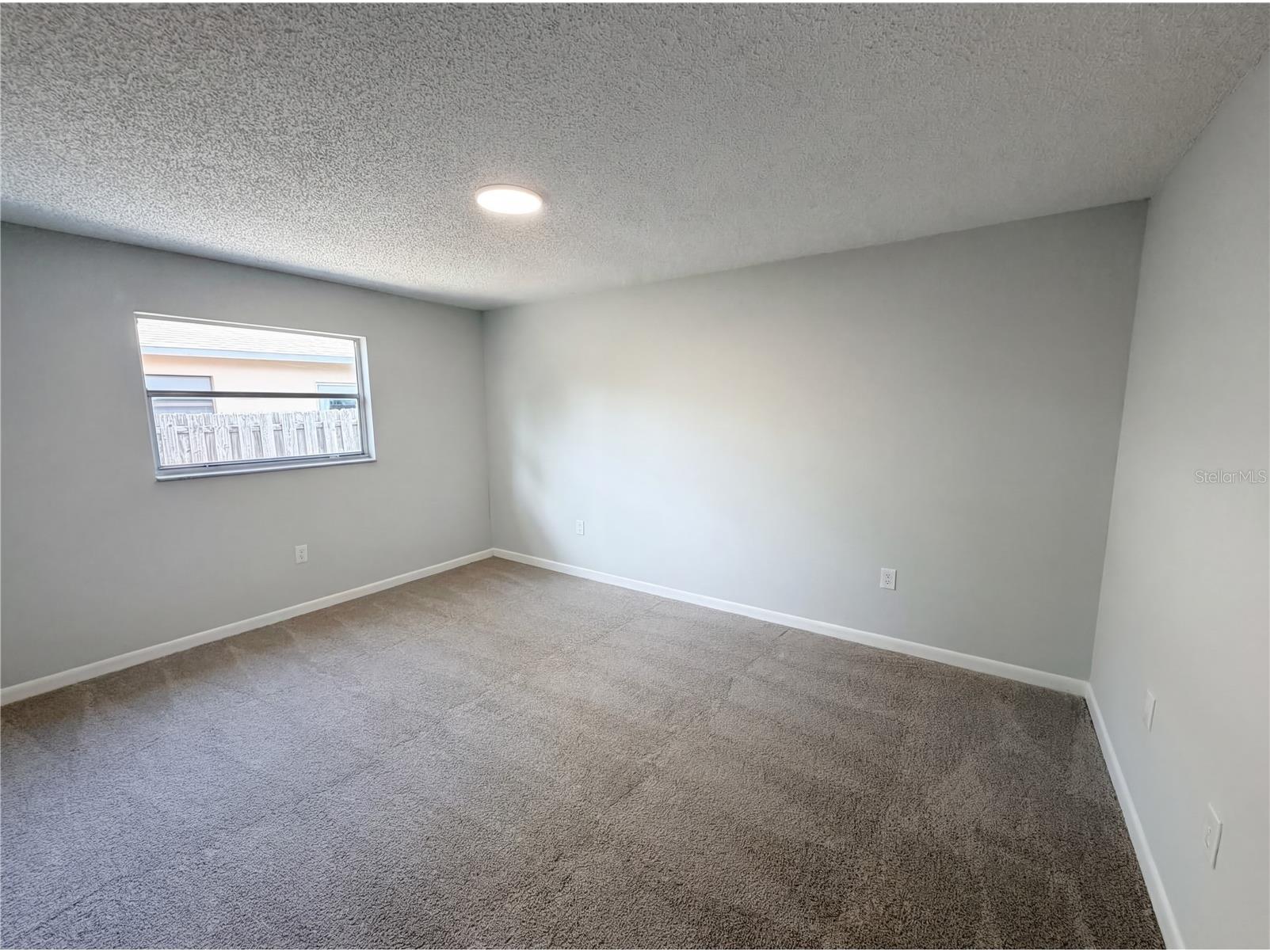 1512 Cascade Court Dunedin FL 34698 TB8488686 image27