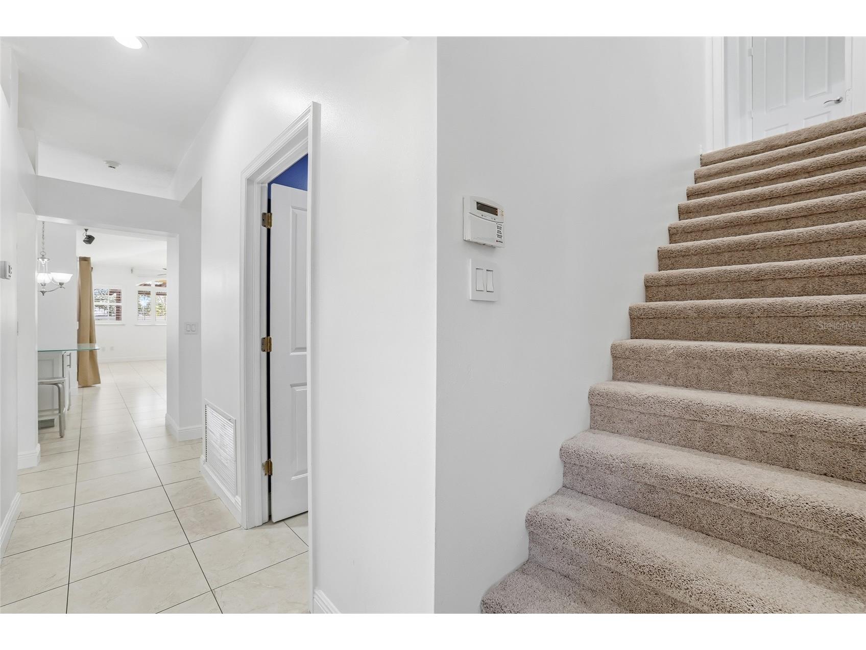 1512 Crooked Stick Drive Valrico FL 33596 TB8462744 image24