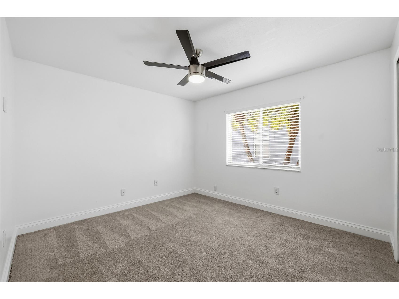 1512 Crooked Stick Drive Valrico FL 33596 TB8462744 image41