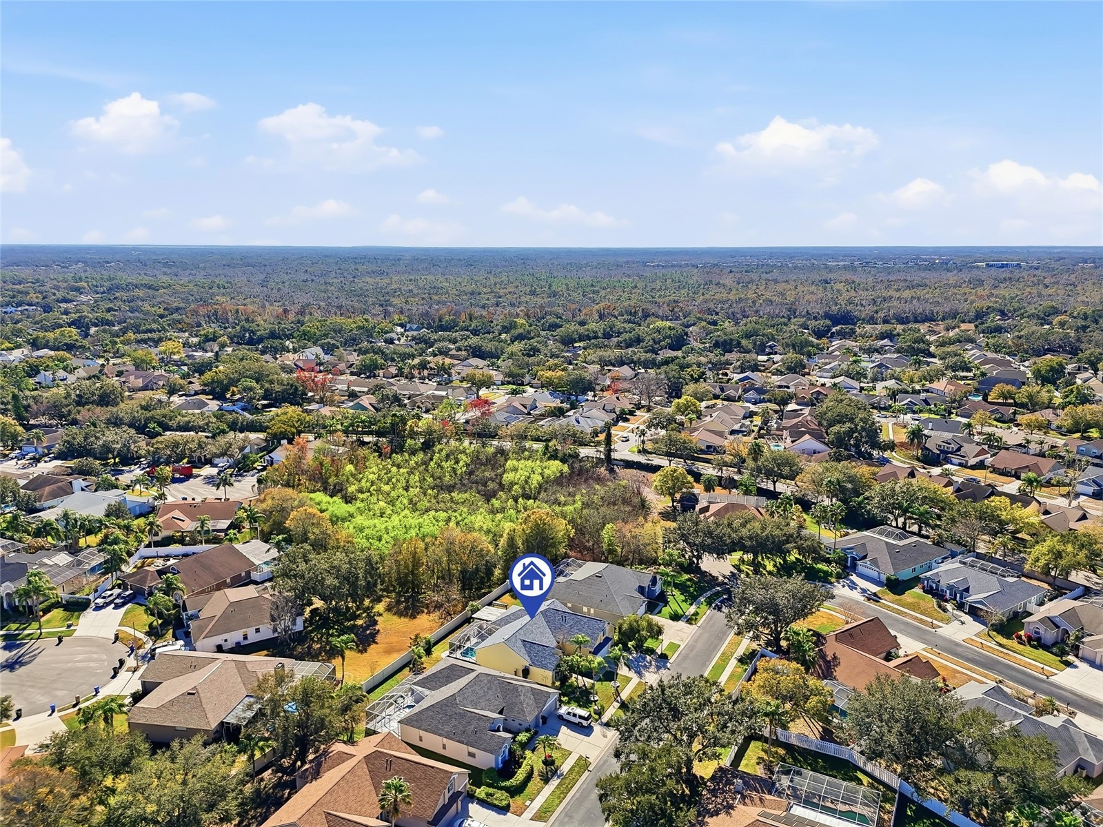 1512 Crooked Stick Drive Valrico FL 33596 TB8462744 image56