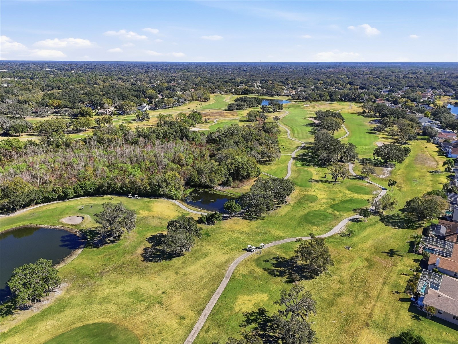 1512 Crooked Stick Drive Valrico FL 33596 TB8462744 image61