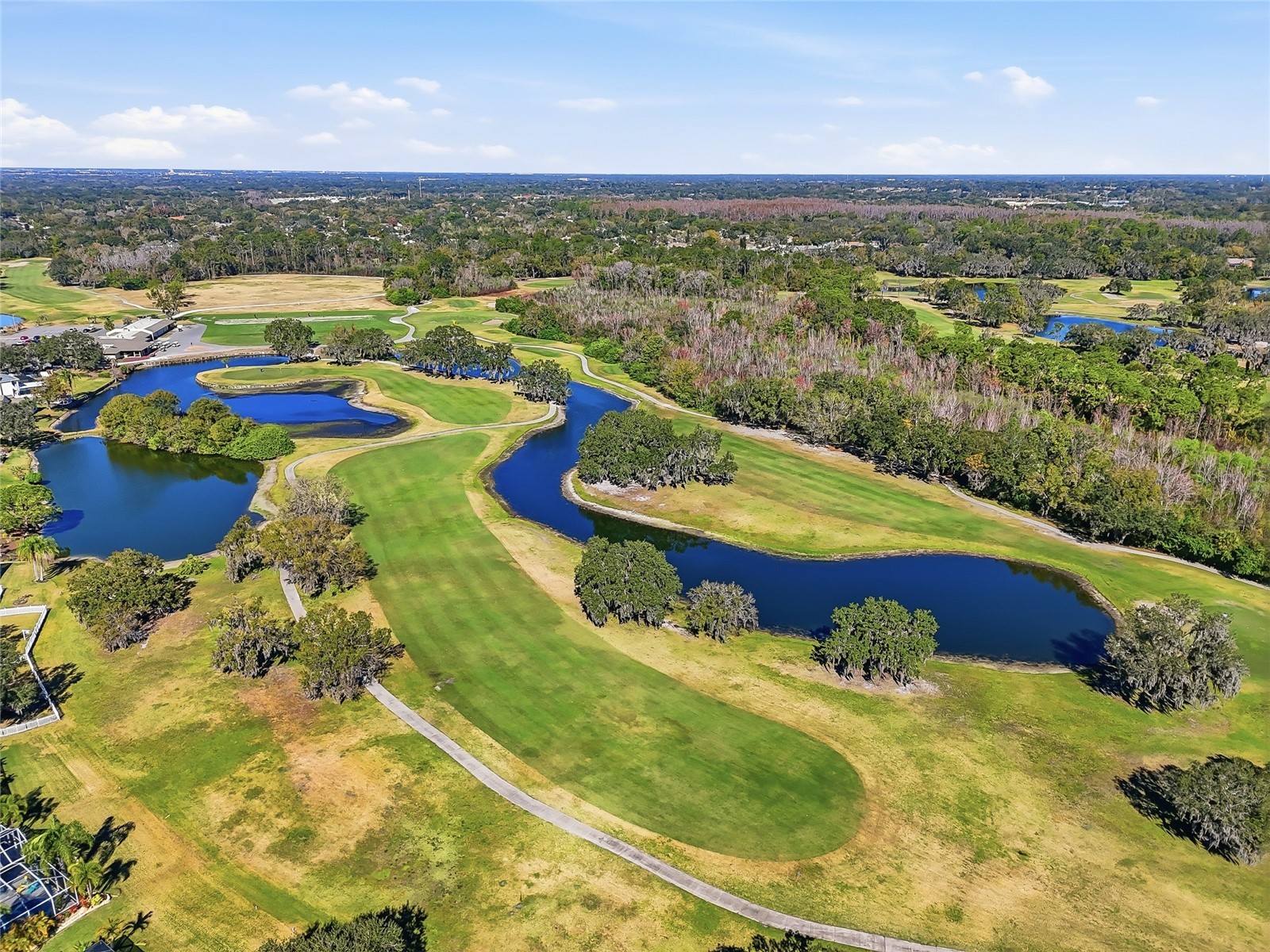 1512 Crooked Stick Drive Valrico FL 33596 TB8462744 image62