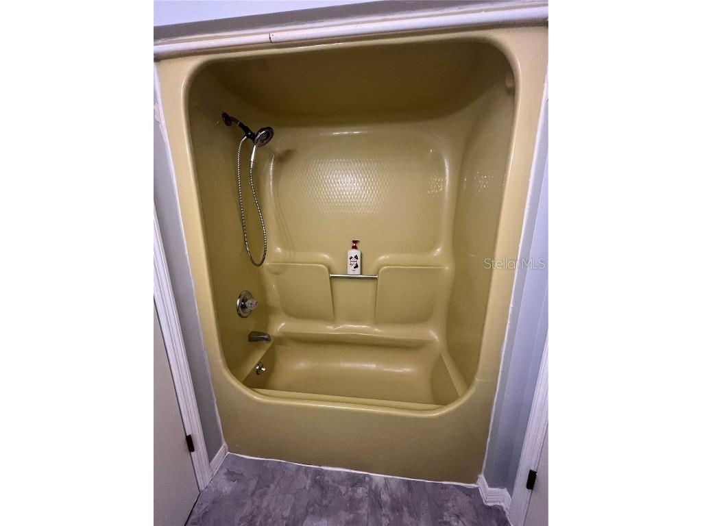 1512 E 1st Avenue Mount Dora FL 32757 G5102988 image14