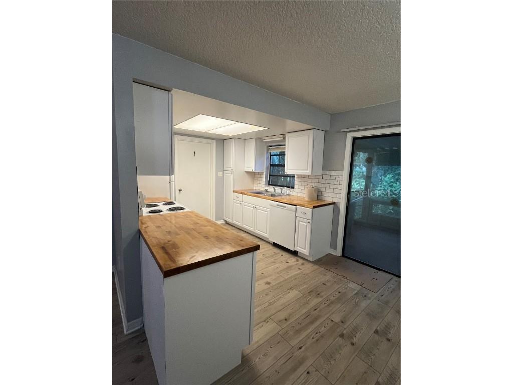 1512 E 1st Avenue Mount Dora FL 32757 G5102988 image7