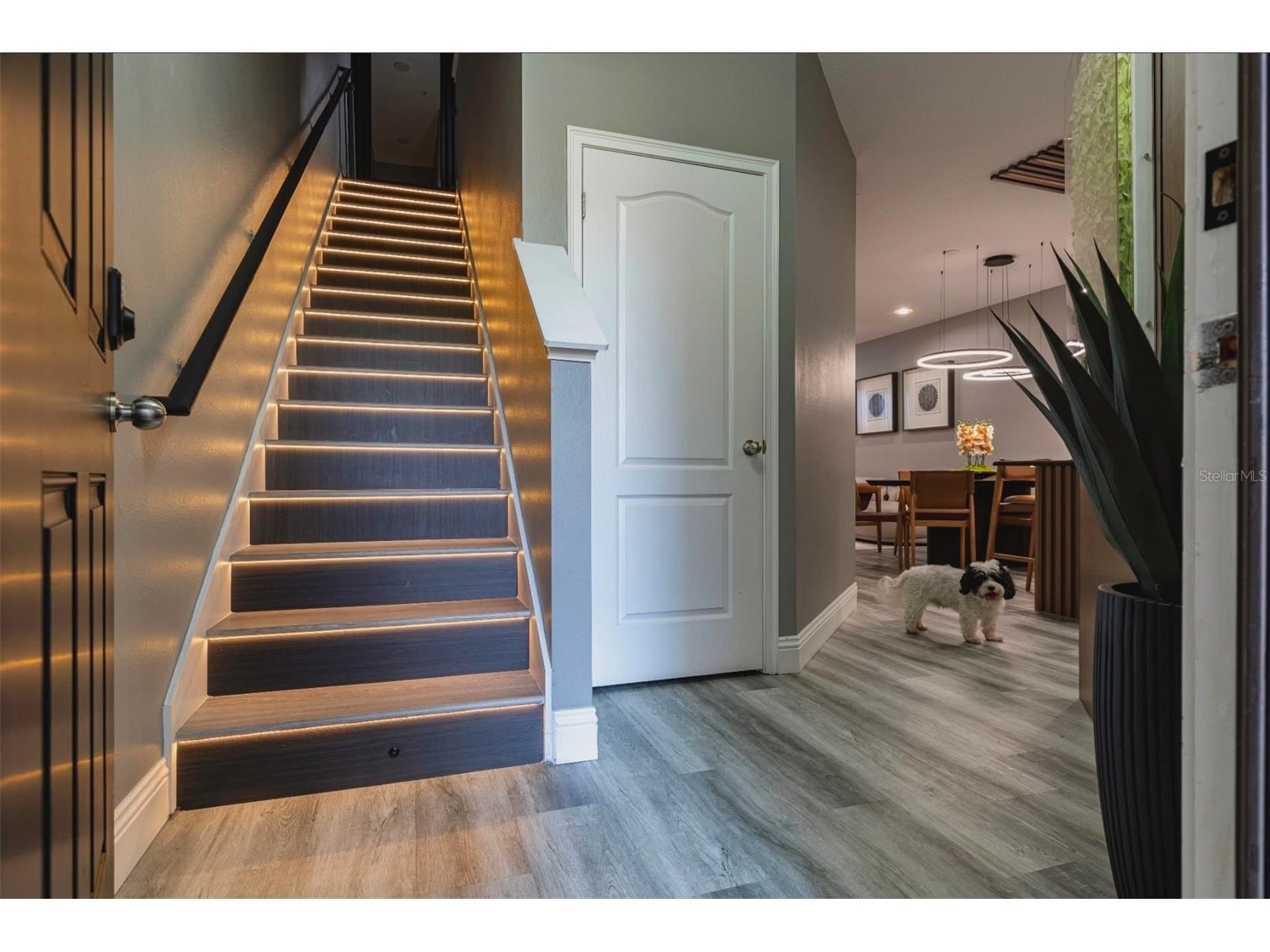1512 Groundsel Lane Ocoee FL 34761 O6404658 image9