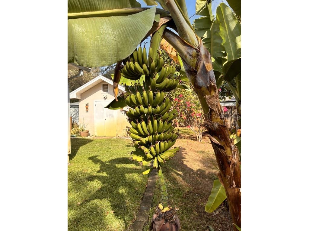 1512 Lime Street Clearwater FL 33756 A4674549 image35