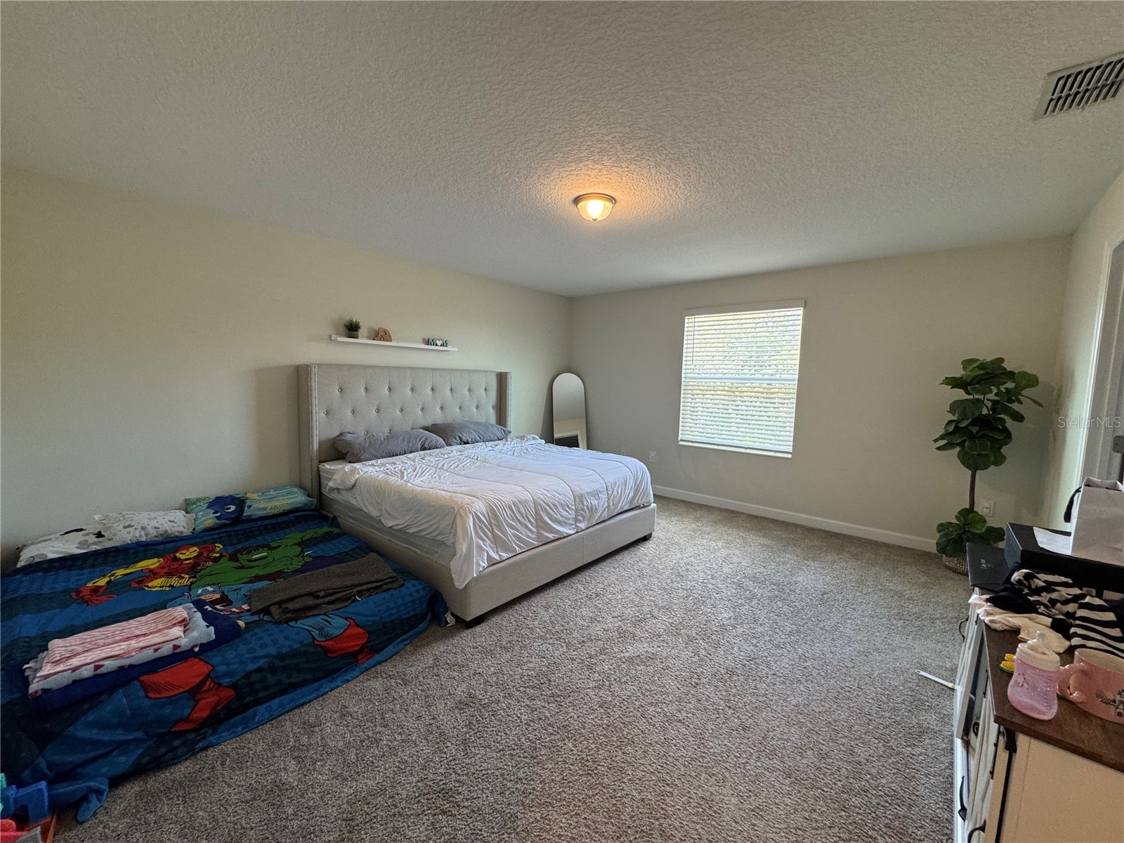 1512 Oak Marsh Loop Davenport FL 33837 O6420497 image19