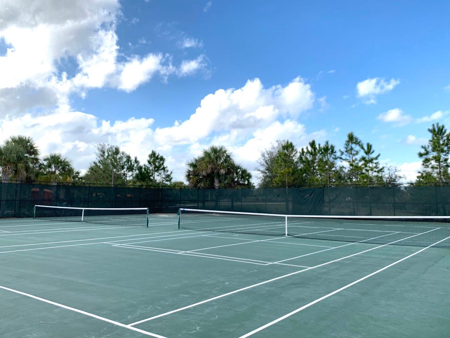 1512 Oak Marsh Loop Davenport FL 33837 O6420497 image39