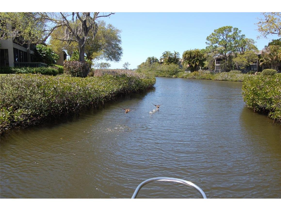 1512 Pelican Point Drive #BA264 Sarasota FL 34231 A4646284 image47