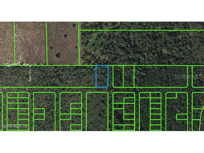 1512 Ponce De Leon Street Lake Placid FL 33852 OM541291 image1