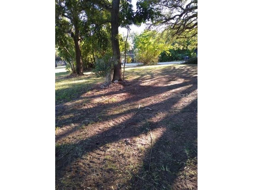 1512 S Missouri Avenue Clearwater FL 33756 O6220416 image4