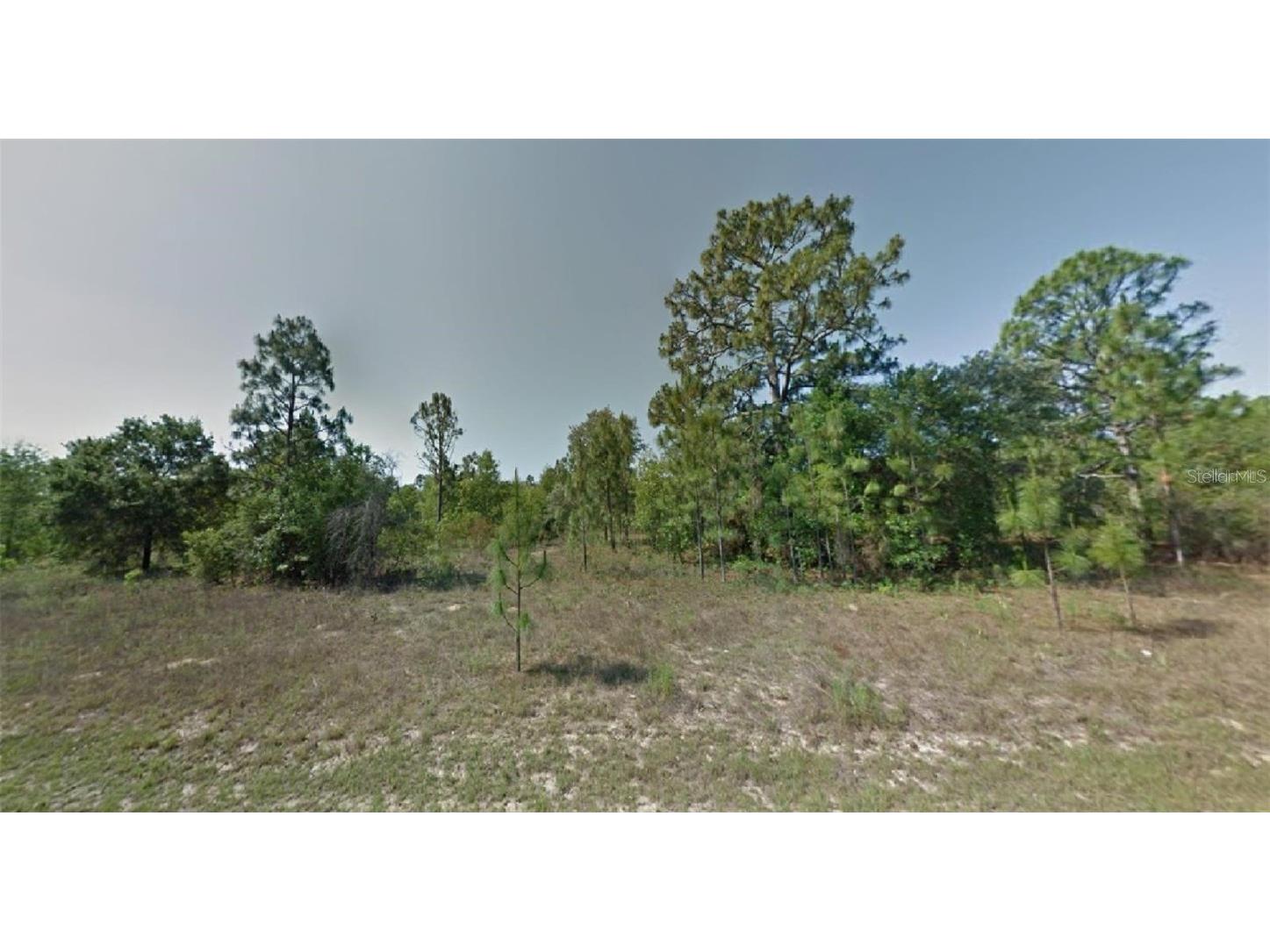 1512 W Skyline Drive Citrus Springs FL 34434 O6191642 image1