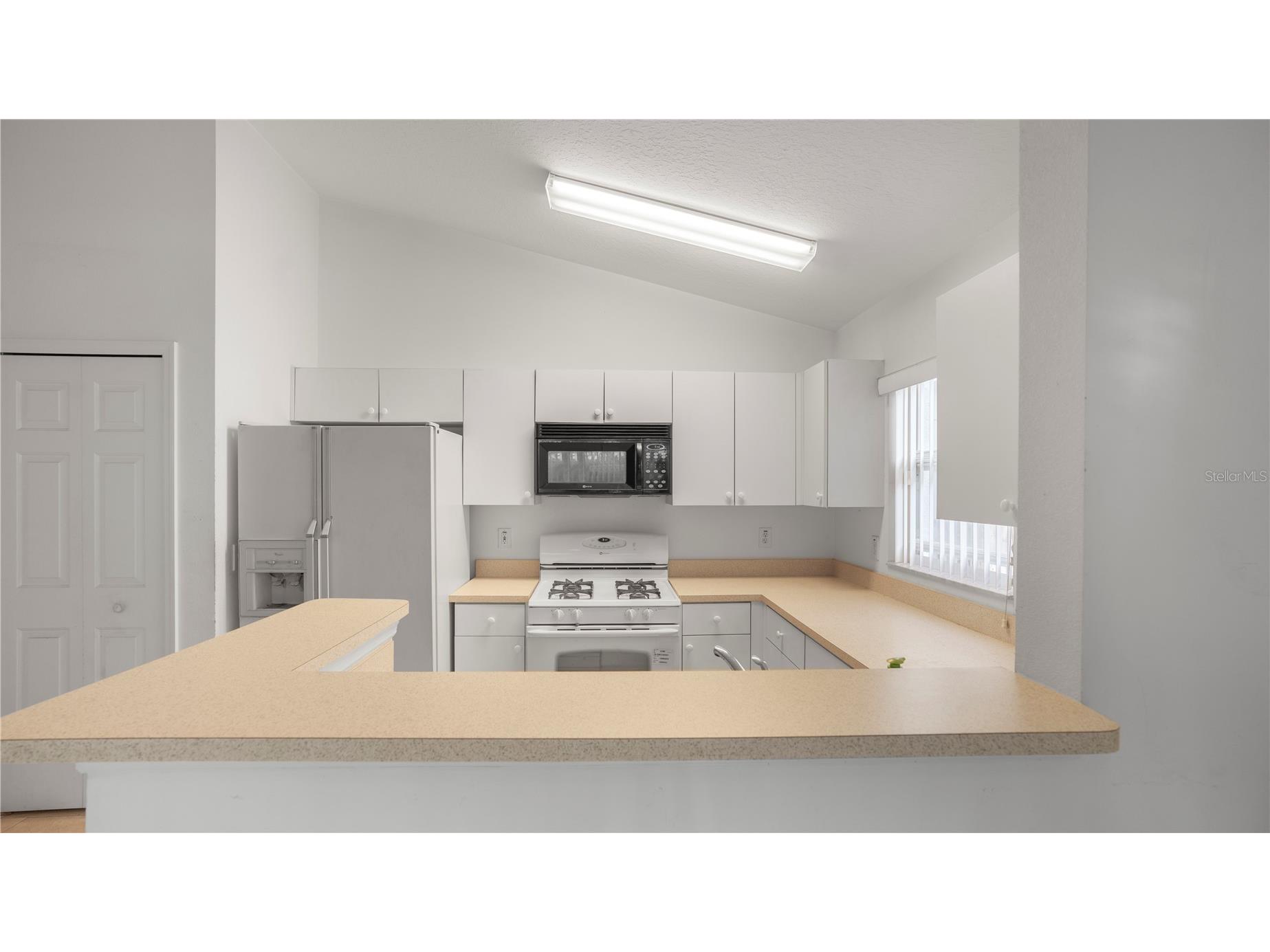15120 Deer Meadow Drive Lutz FL 33559 TB8513861 image12