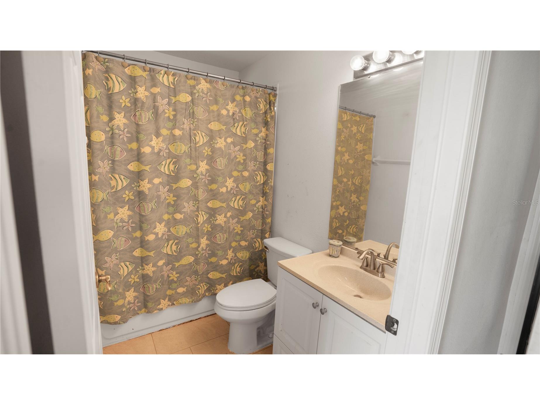 15120 Deer Meadow Drive Lutz FL 33559 TB8513861 image17