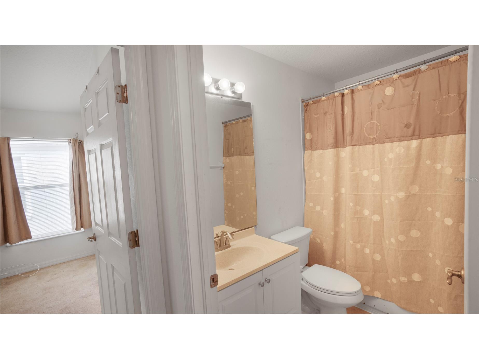 15120 Deer Meadow Drive Lutz FL 33559 TB8513861 image20