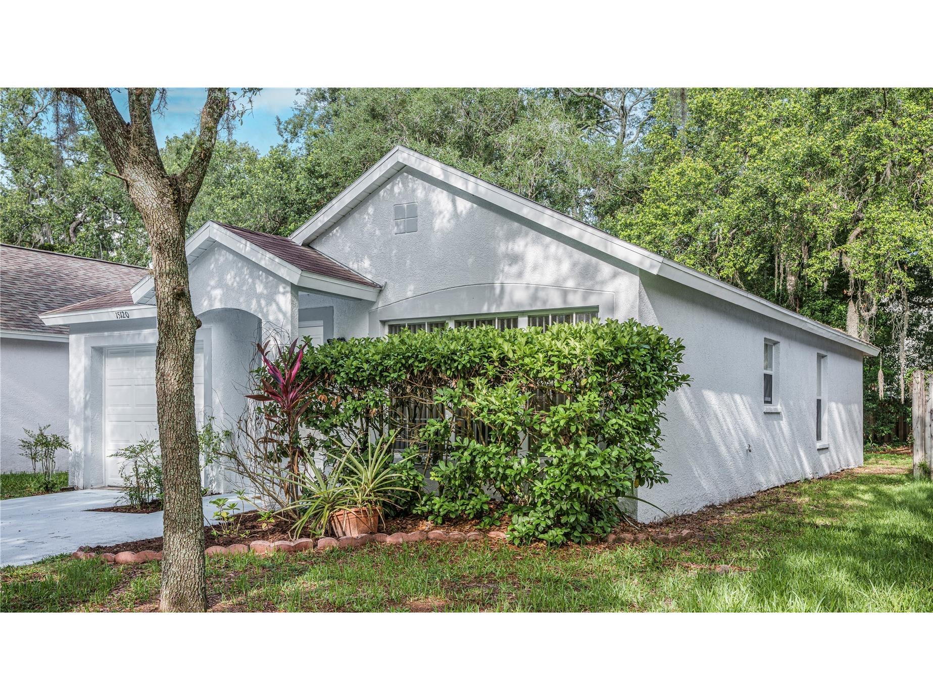 15120 Deer Meadow Drive Lutz FL 33559 TB8513861 image29